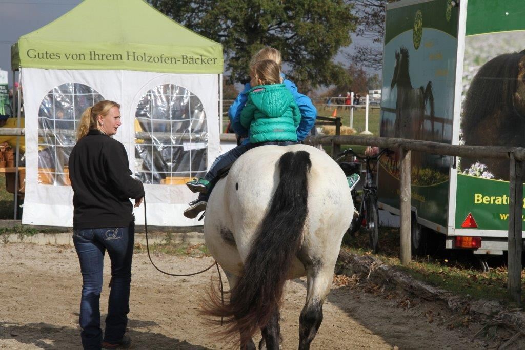 Fuhrmannstag Pliezhausen 2015