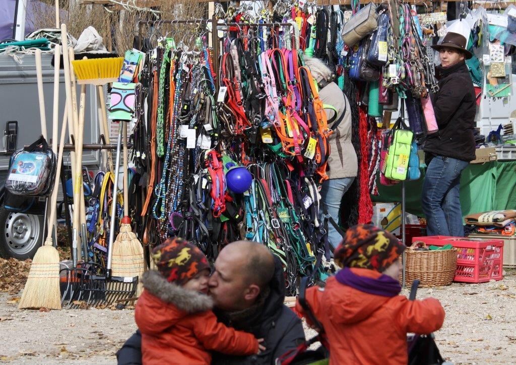 Fuhrmannstag Pliezhausen 2015