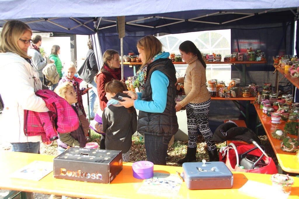 Fuhrmannstag Pliezhausen 2015