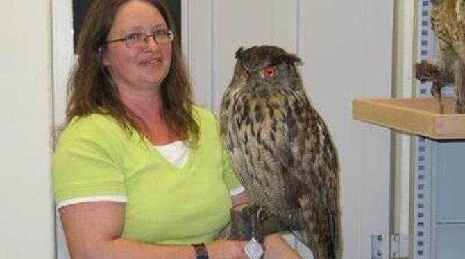 Tierische Detektivarbeit: Die Herkunft des Uhus, der anno 1880 &raquo;der letzte vom Lichtenstein&laquo; gewesen sein soll, mach