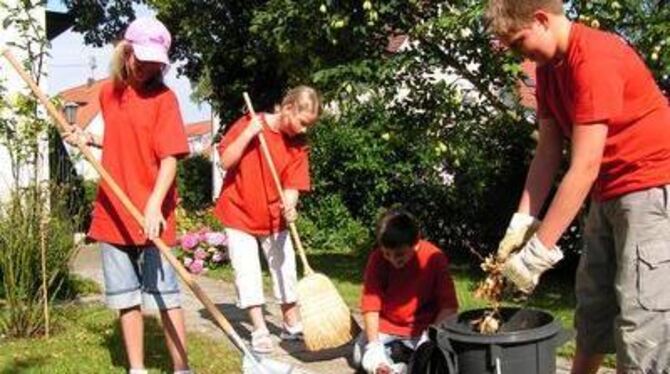 Vanessa Kemmler, Bianca Helle, Marc Bernhardt und Yannik Tuschak (von links) jäten Unkraut im Garten der Familie Neth. FOTO: WEB