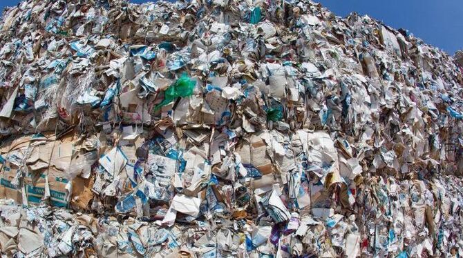 Druckfarben, die in Altpapierkartons enthalten sind, verunreinigen das Recycling-Papier. Foto: Patrick Pleul/Archiv
