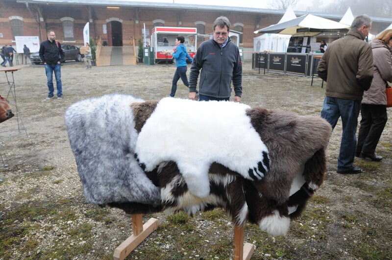 »Schön und Gut« 2015