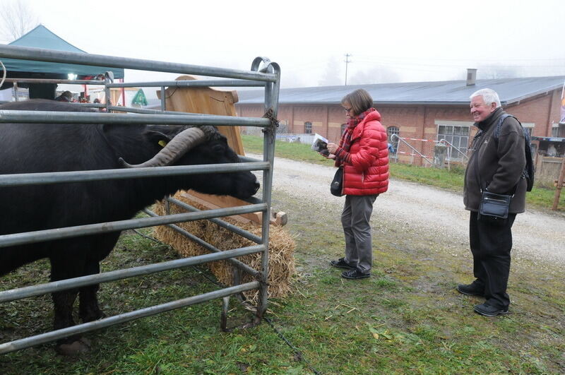 »Schön und Gut« 2015