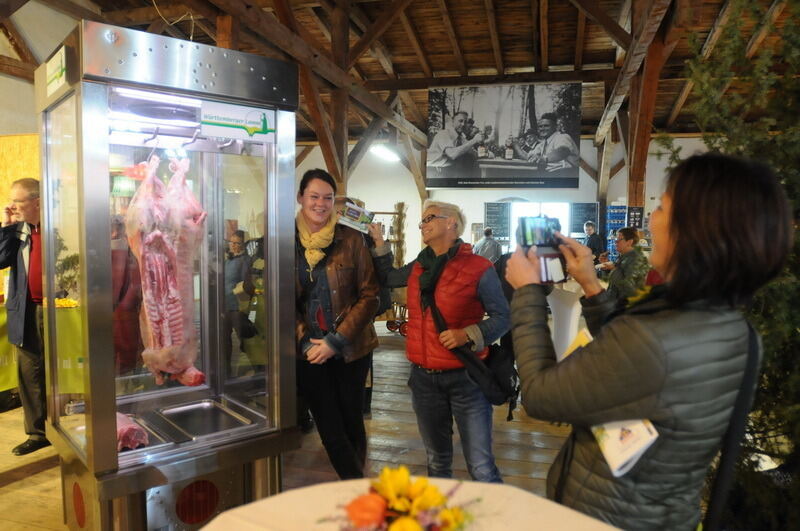 »Schön und Gut« 2015