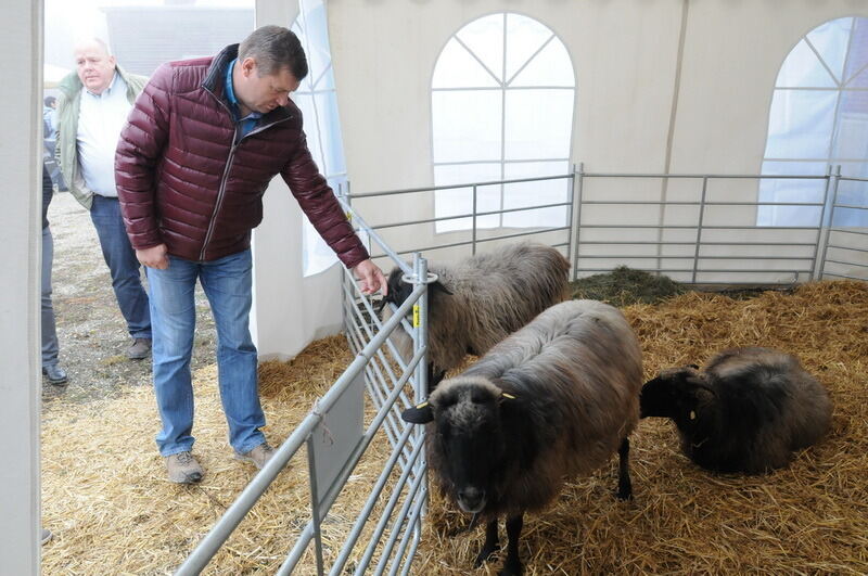 »Schön und Gut« 2015