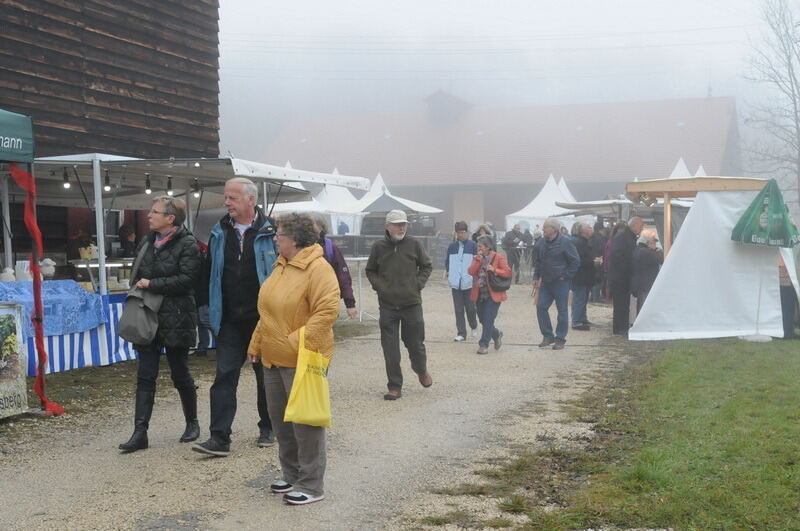 »Schön und Gut« 2015