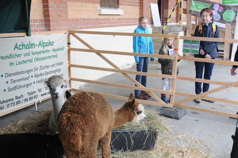 »Schön und Gut« 2015