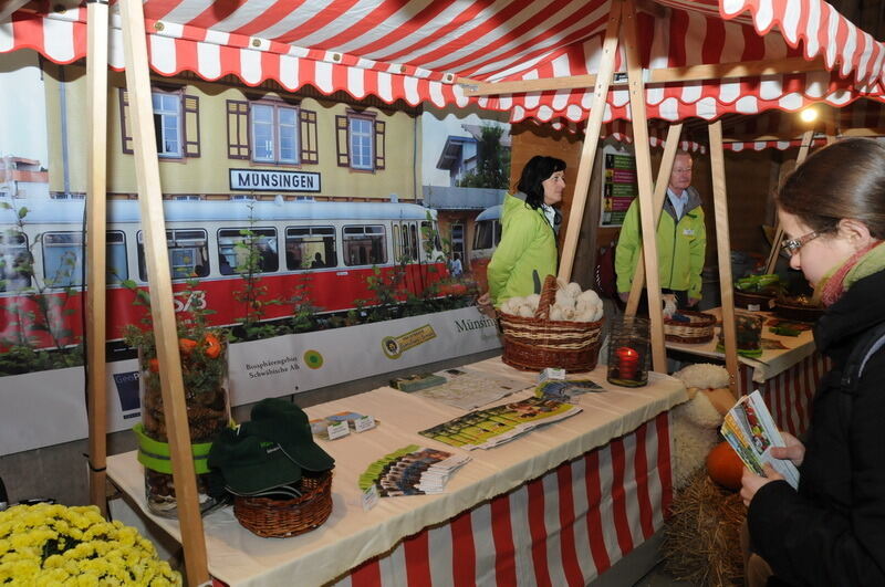 »Schön und Gut« 2015