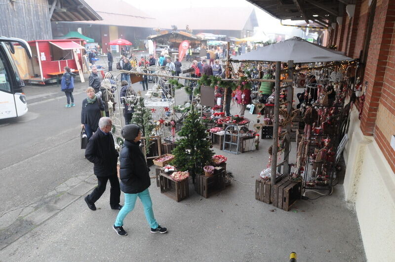 »Schön und Gut« 2015