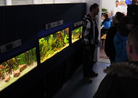 Aquarien- und Terrarienausstellung Mössingen 2015