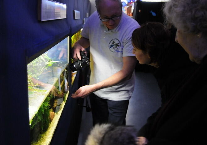 Aquarien- und Terrarienausstellung Mössingen 2015