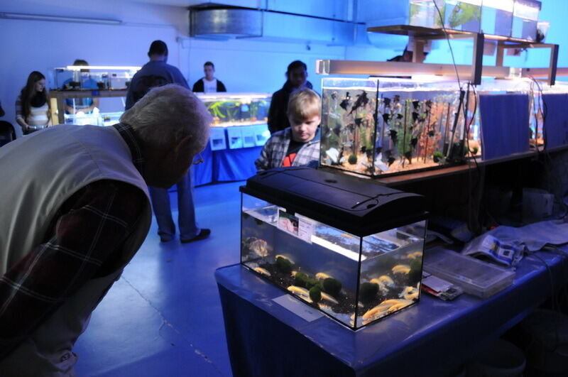 Aquarien- und Terrarienausstellung Mössingen 2015