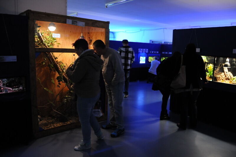 Aquarien- und Terrarienausstellung Mössingen 2015