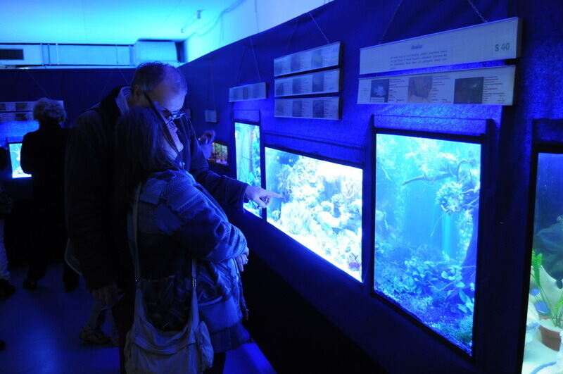 Aquarien- und Terrarienausstellung Mössingen 2015