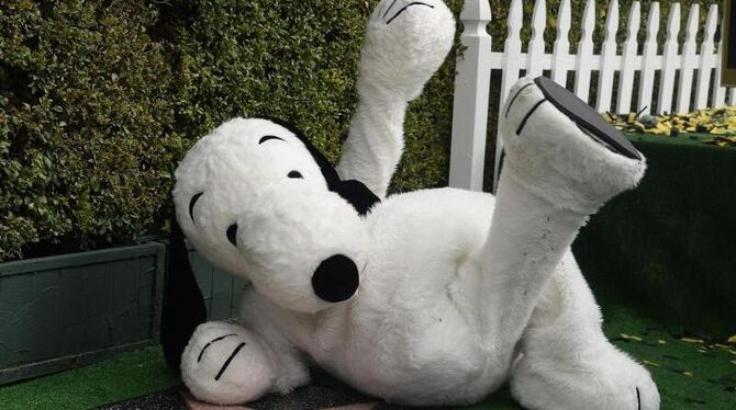 Snoopy sonnt sich im Sternenglanz. Foto: Mike Nelson