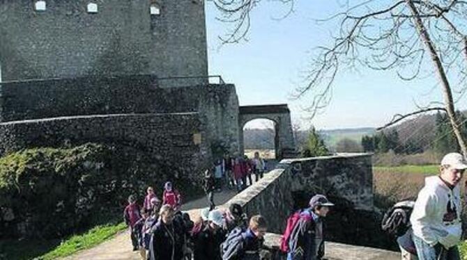 Burgenwegwandern in fünf Etappen über den Sommer hinweg - hier die Ruine Derneck - bietet der Albverein an.  ARCHIV-FOTO: BAIER