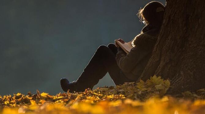 Eine Frau lehnt an einem Baum und liest in herbstlicher Abendstimmung im Park am Anlagensee in Tübingen. Foto: Wolfram Kastl
