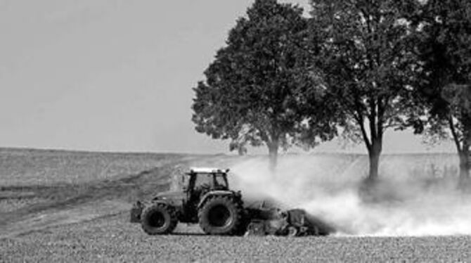 Ein Traktor wirbelt beim Pflügen des ausgetrockneten Bodens auf einem Feld kräftig Staub auf. (Archivbild)