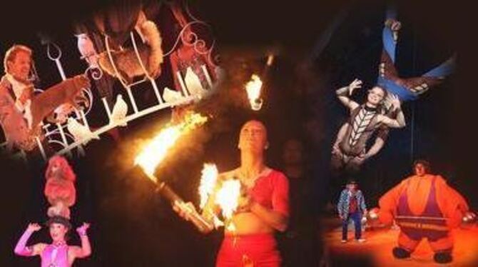 Kunterbunt und vielseitig: Die Manegen-Show des Zirkus &raquo;Busch-Roland&laquo; begeisterte das Premierenpublikum. FOTO: TRINK