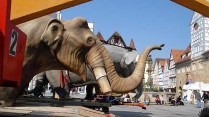 Auf dem Marktplatz wartete das nordamerikanische Mammut (Mammuthus imperator) noch auf den Aufbau. GEA-FOTO: PACHER