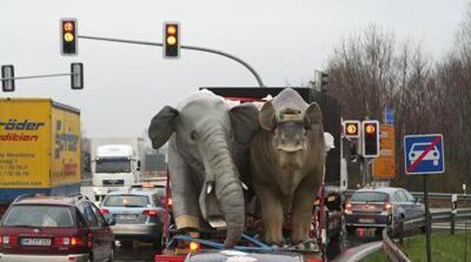 Vorsicht: rollende Giganten! ­ Die beiden Lastwagen aus Reutlingen mit den »Erben der Dinos« sind ein echter Hingucker und berei