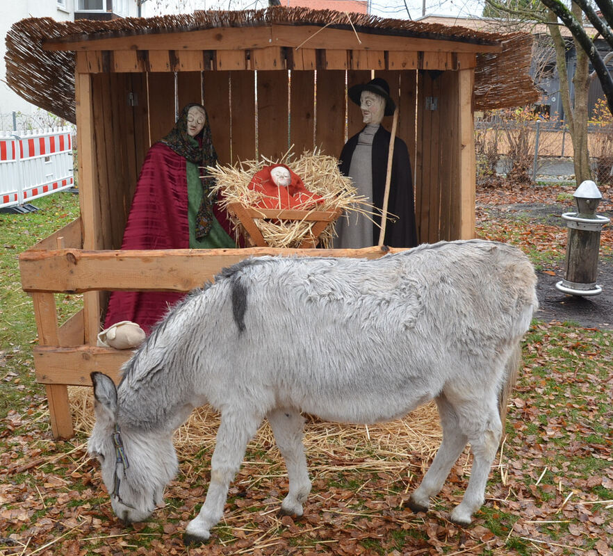 Weihnachtsmärkte in der Region 2015
