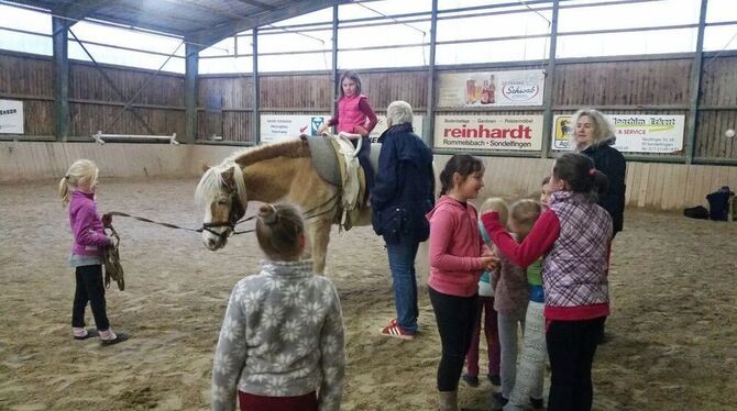 Trainingspartner Pferd: Voltigieren ist ein vielseitiger Sport, der in der Gruppe besonders viel Freude macht. FOTO: ZMS