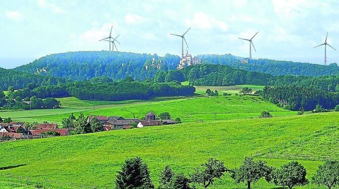 »Der Lichtenstein darf nicht unter die Räder kommen«, fordert die Initiative gegen den Windpark und untermauert ihre Position mi