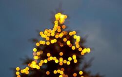 LED an Weihnachtsbäumen