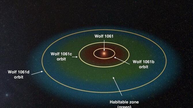 Die Illustration zeigt das Nachbarstern-System Wolf 1061, das 14 Lichtjahre entfernt ist, mit drei Planetenlaufbahnen. Der gr