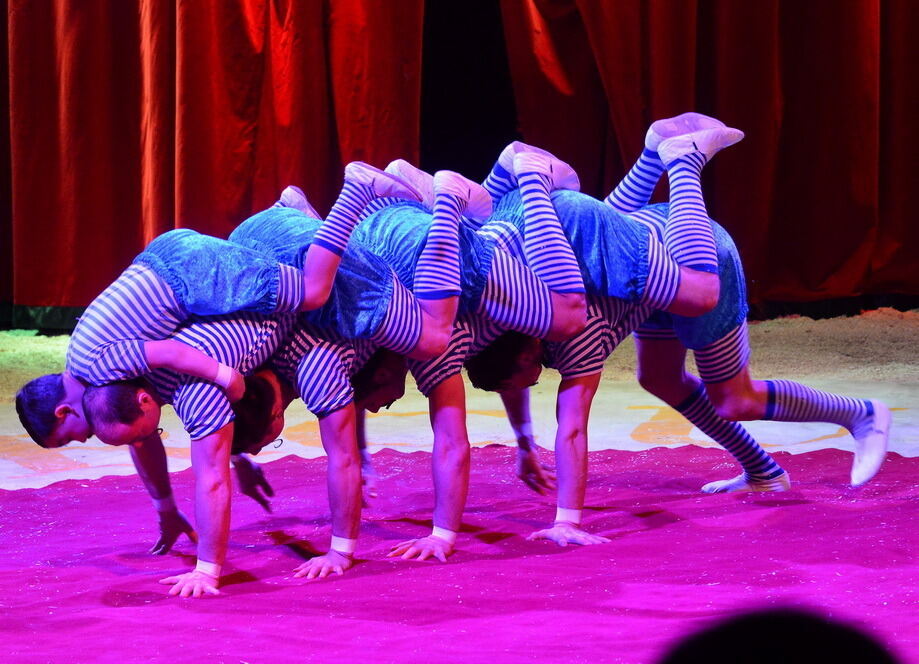 Reutlinger Weihnachtszirkus 2015