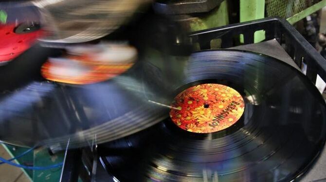 Schallplattenfreunde sind auch unter jungen Leuten zu finden. Foto: Jan Woitas