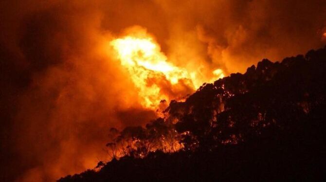 Buschbrände haben im Süden Australiens mehr als 100 Häuser zerstört. Foto: Keith Pakenham