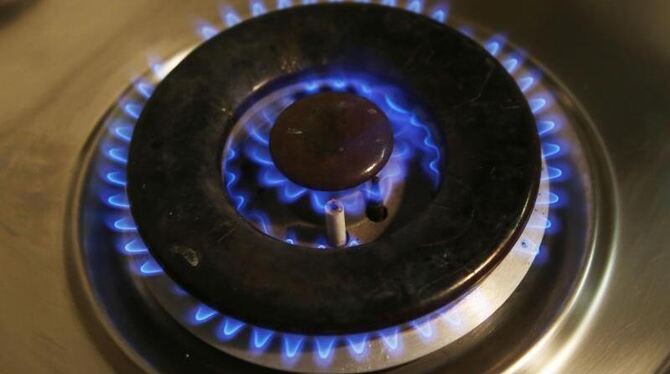 Energiefachmann Sieverding: »Die Versorger, die jetzt ihre Gaspreise nicht senken, müssen das sehr gut begründen«. Foto: Malt