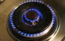 Energiefachmann Sieverding: «Die Versorger, die jetzt ihre Gaspreise nicht senken, müssen das sehr gut begründen». Foto: Malt