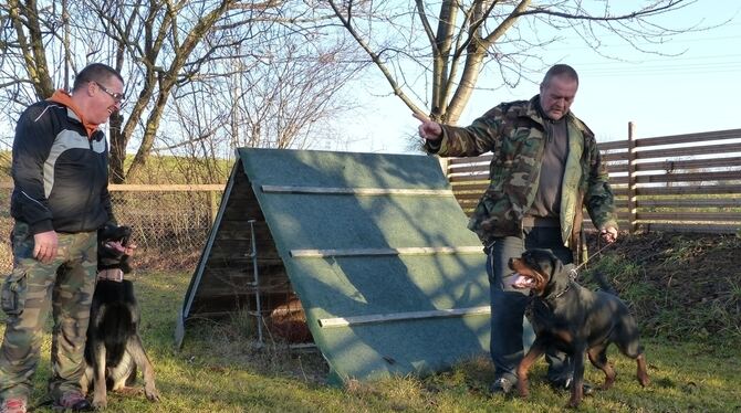 Sie haben ihre Hunde gut erzogen: Jürgen Both und Roland Holzner mit Schäferhund Ayk und Rottweilerhündin Mia. FOTO: WEBER