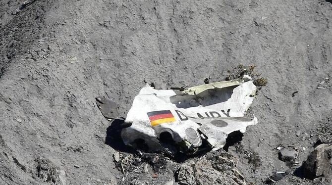 Beim Germanwings-Absturz in den französischen Alpen im vergangenen März waren alle 150 Menschen an Bord ums Leben gekommen. D