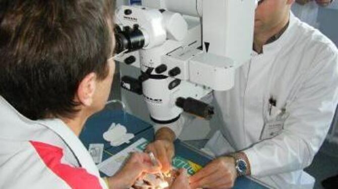 Ein »Fitzelesg'schäft«: Nerven nähen unterm Mikroskop. FOTO: MAIER