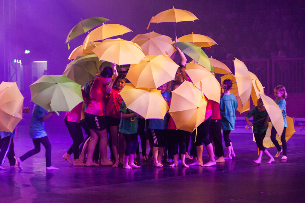 Turngala Tübingen Januar 2016