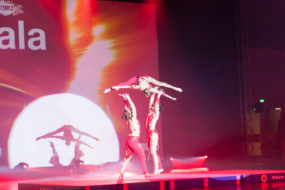 Turngala Tübingen Januar 2016