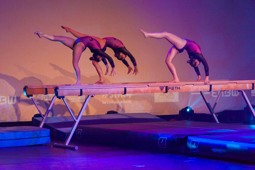 Turngala Tübingen Januar 2016