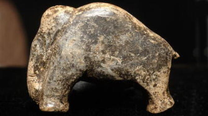 Bild: Perfekt erhalten, sogar mit klitzekleinem Schwänzchen: Das kleine Mammut ist die älteste vollständig erhaltene Figur der M