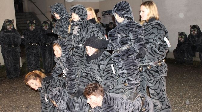 Närrischer Nachwuchs: Die jungen Mühla-Katza fühlen sich schon sichtlich wohl in ihrem Fasnets-Fell. FOTO: SPIESS