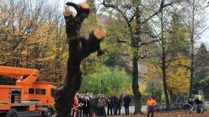 &raquo;Baum fällt!&laquo; - irgendwann ist auch für &raquo;politische Bäume&laquo; der letzte Herbst gekommen, wie für diese Lin