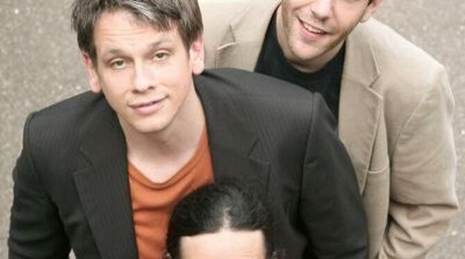 Unglaublich wandlungsreich: Die drei vom &raquo;Zwangsensemble&laquo;.  FOTO: INKA MEYER