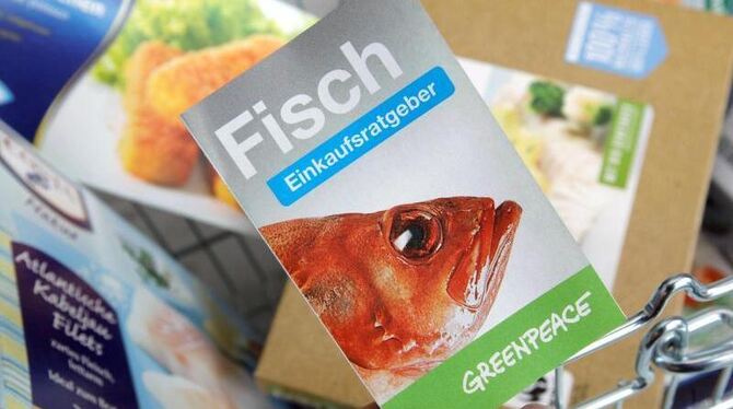 Der Bundesverband der Fischindustrie hält den Greenpeace-Einkaufsratgeber für »wirklichkeitsfremd«. Foto: Markus Scholz