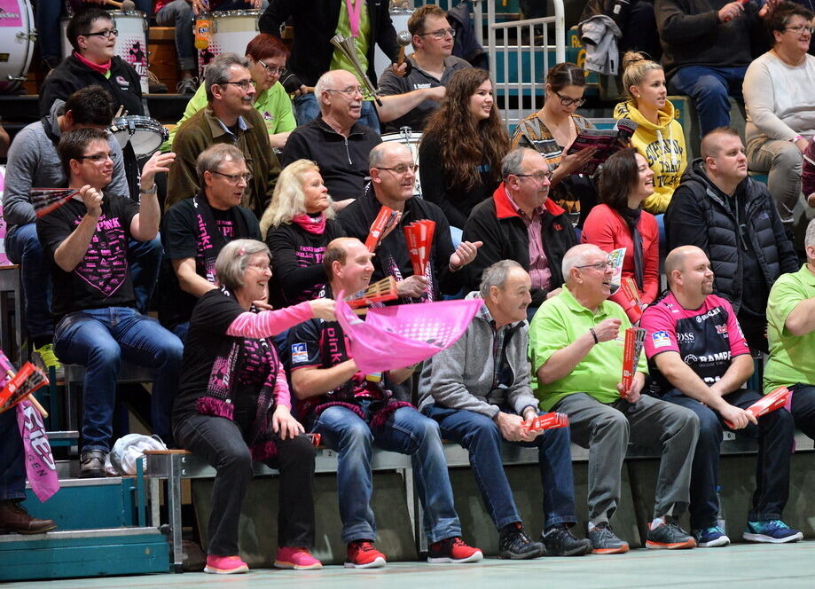 Metzingen - Bietigheim 30:28