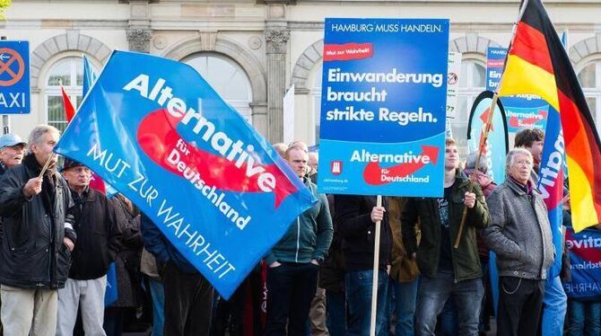 Anhänger der Partei Alternative für Deutschland (AfD) in Hamburg. Daniel Bockwoldt