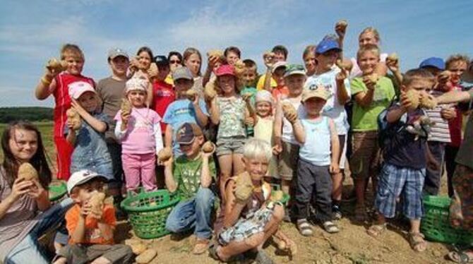 Die kleinsten Kinder ernten die größten Kartoffeln: Beim Lesewettbewerb auf dem Acker hatten die jungen Kartoffelfest-Besucher j